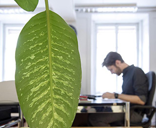 Mitarbeiter im Büro am Arbeitstisch