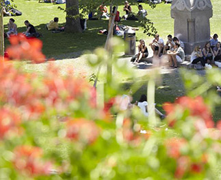 Menschen sitzend im Rasen umgeben von Blumen